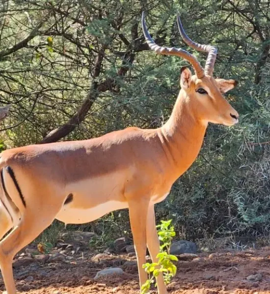 20230413_094548-1-1024x577