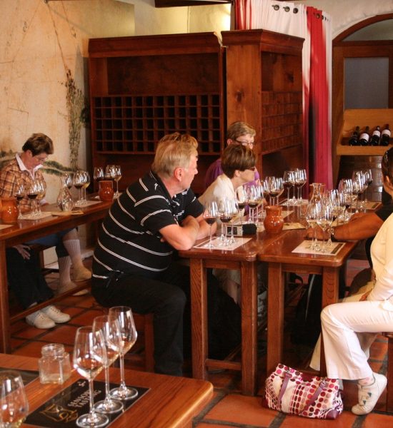 Tasting the Cape Winelands