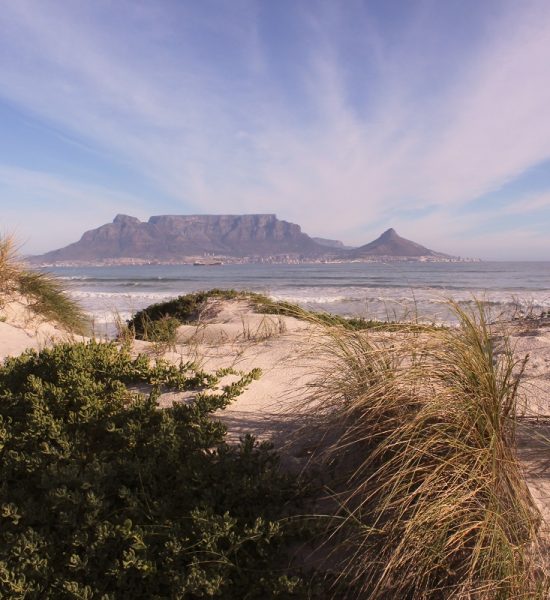 The most welcoming site in the world - Table Mountain#3
