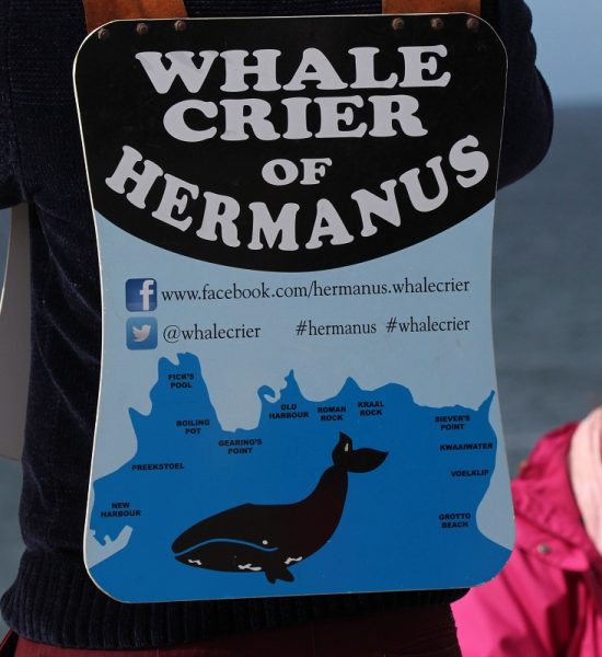 Wines, Mountains & Whales